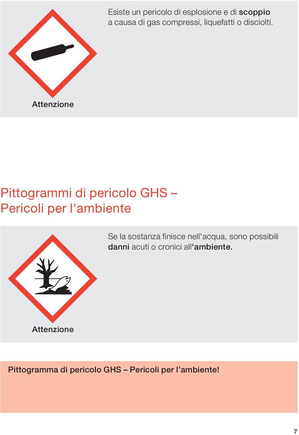 Attenzione Pittogrammi di pericolo GHS Pericoli per l'ambiente Se la sostanza