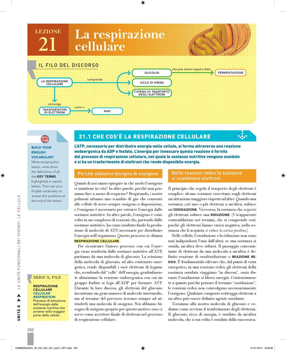 1 CHE COS È LA RESPIRAZIONE CELLULARE > UNITÀ D ÉÉ LE UNITÀ FUNZIONALI DEI VIVENTI: LE CELLULE BUILD YOUR ENGLISH VOCABULARY While studying this lesson, write down the definitions of all the KEY