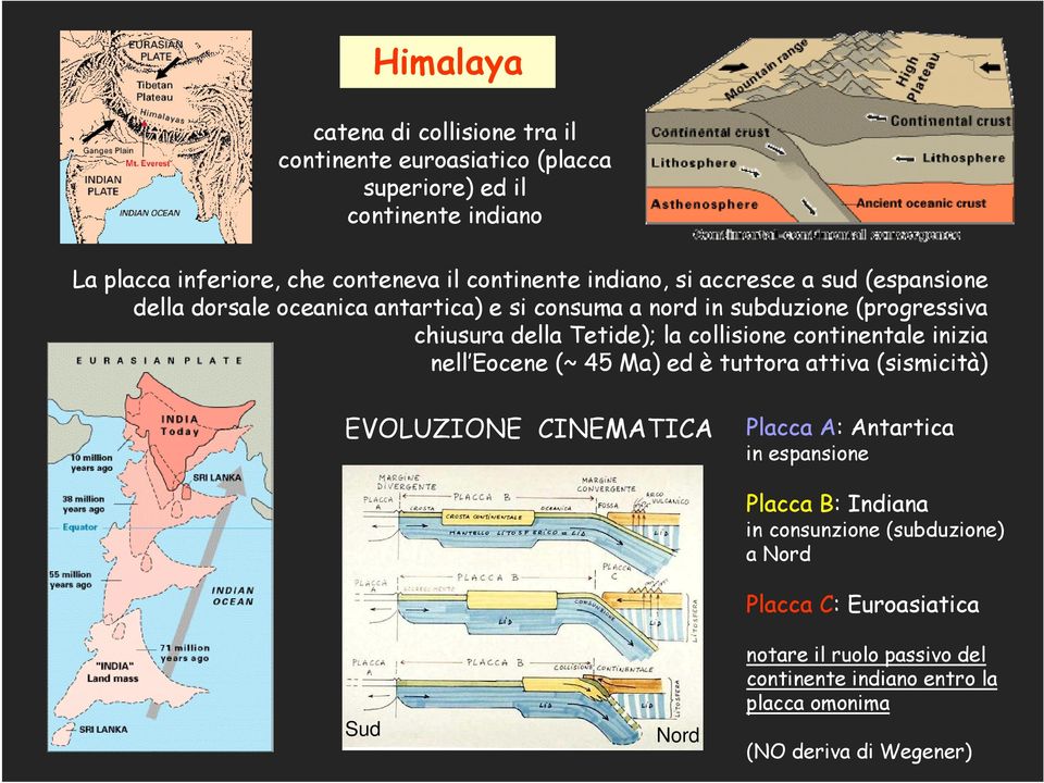 collisione continentale inizia nell Eocene (~ 45 Ma) ed è tuttora attiva (sismicità) EVOLUZIONE CINEMATICA Placca A: Antartica in espansione Sud Nord