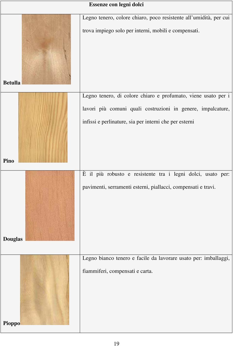 perlinature, sia per interni che per esterni Pino È il più robusto e resistente tra i legni dolci, usato per: pavimenti, serramenti esterni,