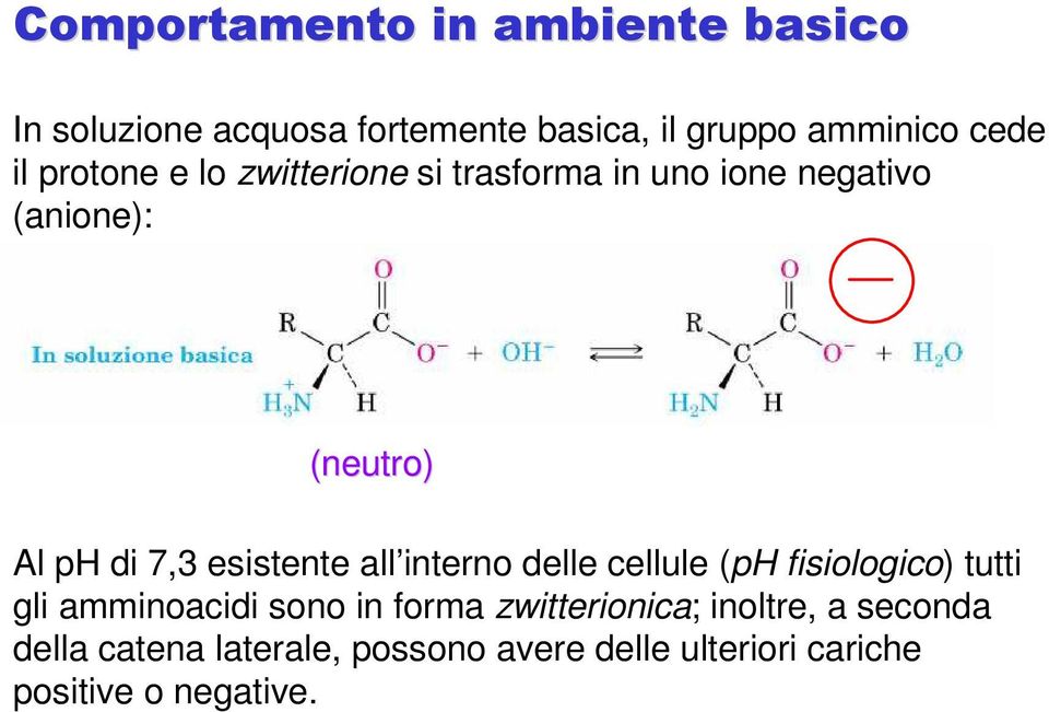 esistente all interno delle cellule (ph fisiologico) tutti gli amminoacidi sono in forma