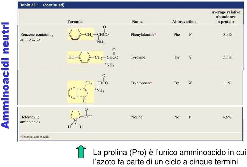 amminoacido in cui l azoto