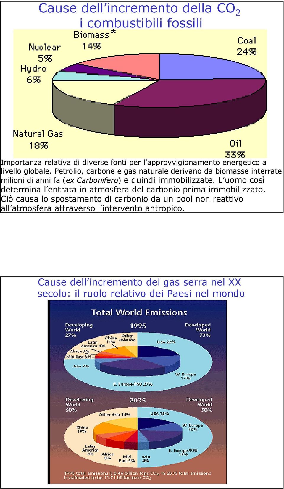 Petrolio, carbone e gas naturale derivano da biomasse interrate milioni di anni fa (ex Carbonifero) e quindi immobilizzate.