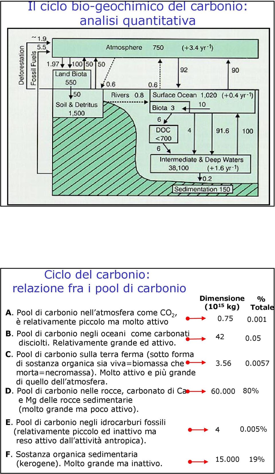 Molto attivo e più grande di quello dell atmosfera. D. Pool di carbonio nelle rocce, carbonato di Ca e Mg delle rocce sedimentarie (molto grande ma poco attivo). E.