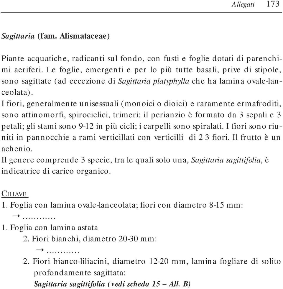 I fiori, generalmente unisessuali (monoici o dioici) e raramente ermafroditi, sono attinomorfi, spirociclici, trimeri: il perianzio è formato da 3 sepali e 3 petali; gli stami sono 9-12 in più cicli;