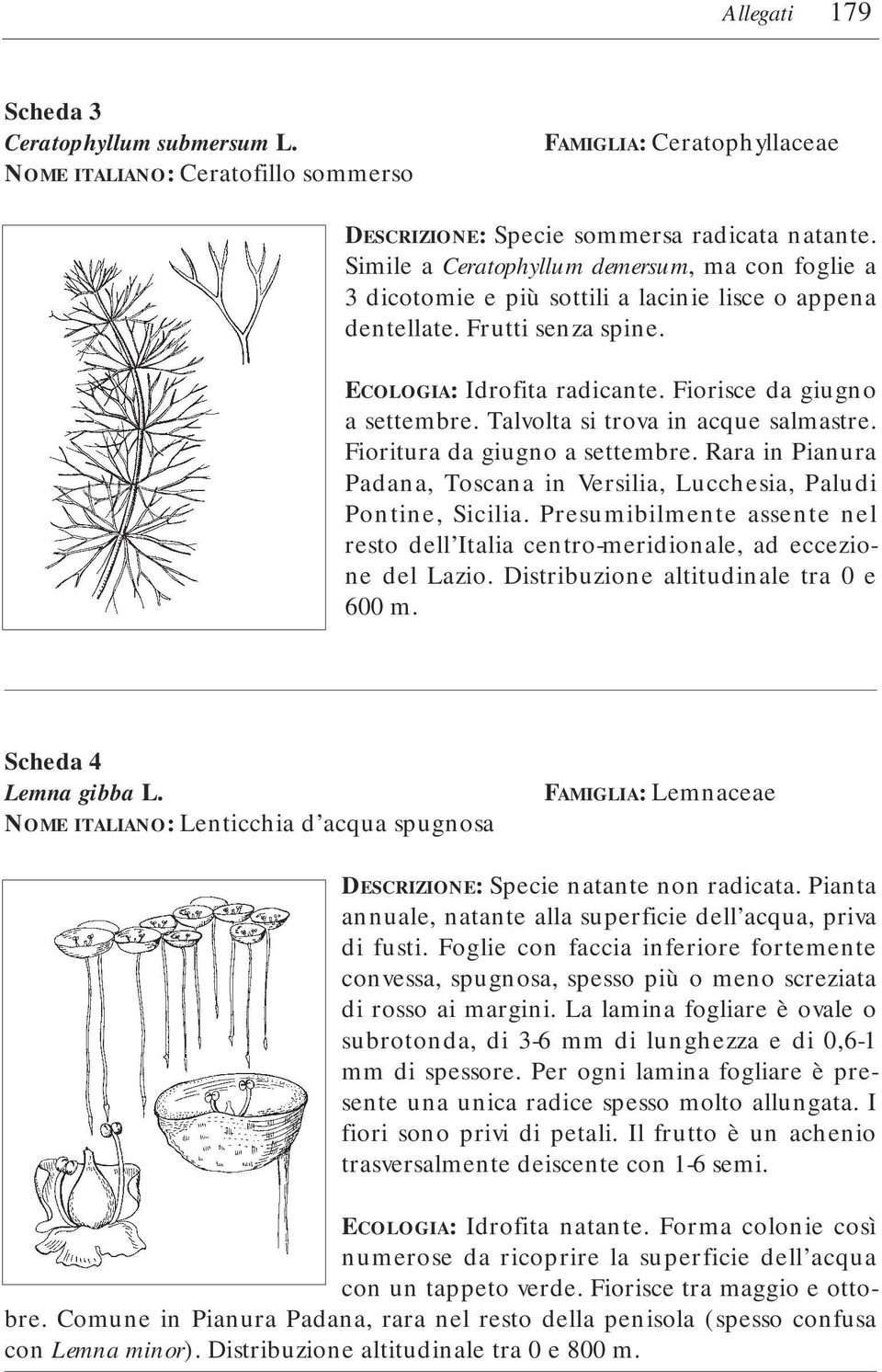 Talvolta si trova in acque salmastre. Fioritura da giugno a settembre. Rara in Pianura Padana, Toscana in Versilia, Lucchesia, Paludi Pontine, Sicilia.