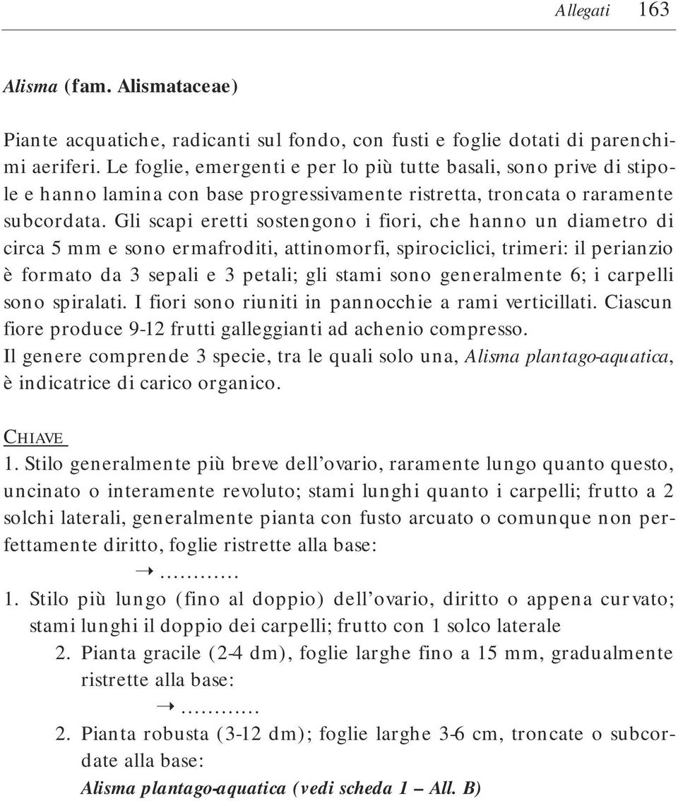 Gli scapi eretti sostengono i fiori, che hanno un diametro di circa 5 mm e sono ermafroditi, attinomorfi, spirociclici, trimeri: il perianzio è formato da 3 sepali e 3 petali; gli stami sono