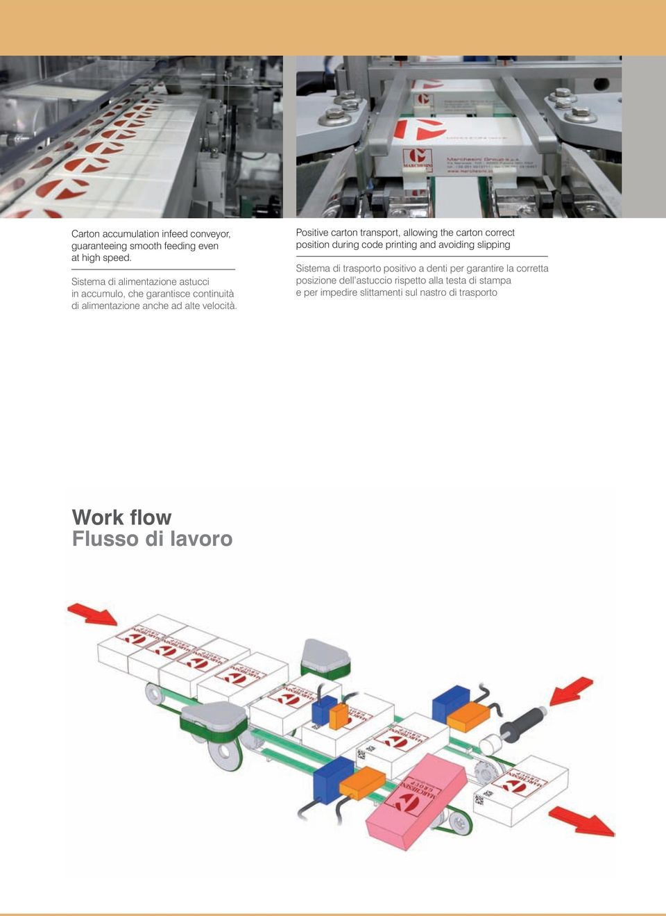 Positive carton transport, allowing the carton correct position during code printing and avoiding slipping Sistema di