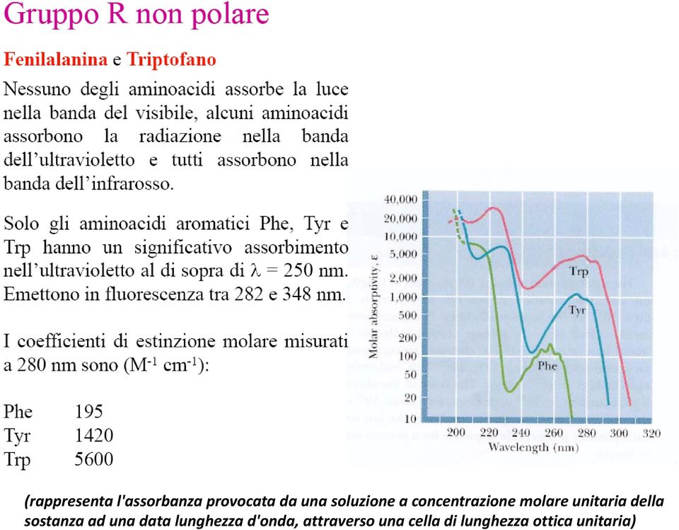 della sostanza ad una data lunghezza d'onda,