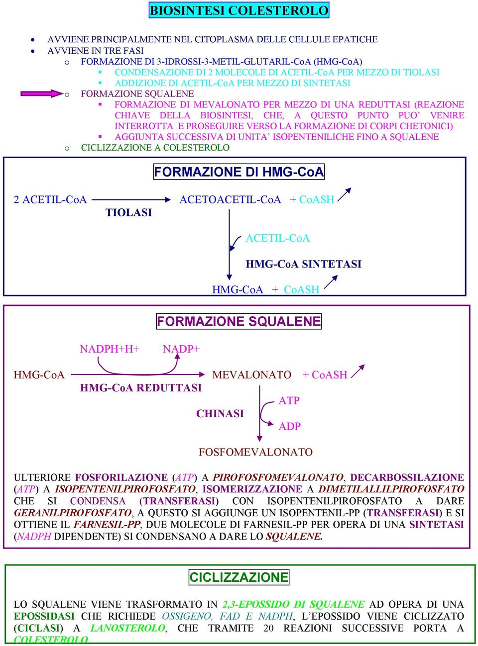 QUESTO PUNTO PUO VENIRE INTERROTTA E PROSEGUIRE VERSO LA FORMAZIONE DI CORPI CHETONICI) AGGIUNTA SUCCESSIVA DI UNITA ISOPENTENILICHE FINO A SQUALENE o CICLIZZAZIONE A COLESTEROLO FORMAZIONE DI