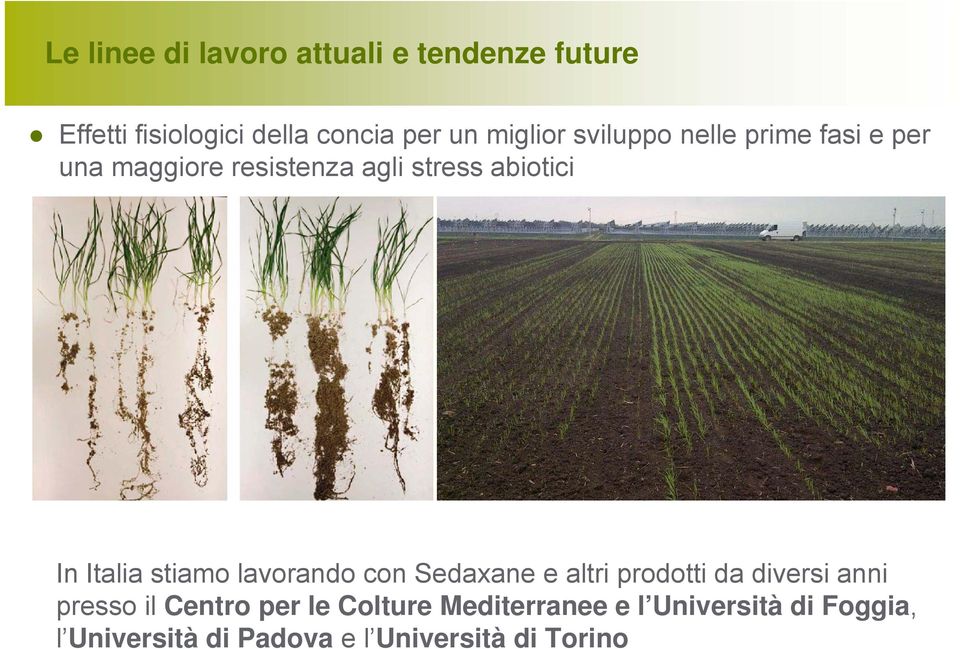 Italia stiamo lavorando con Sedaxane e altri prodotti da diversi anni presso il Centro per