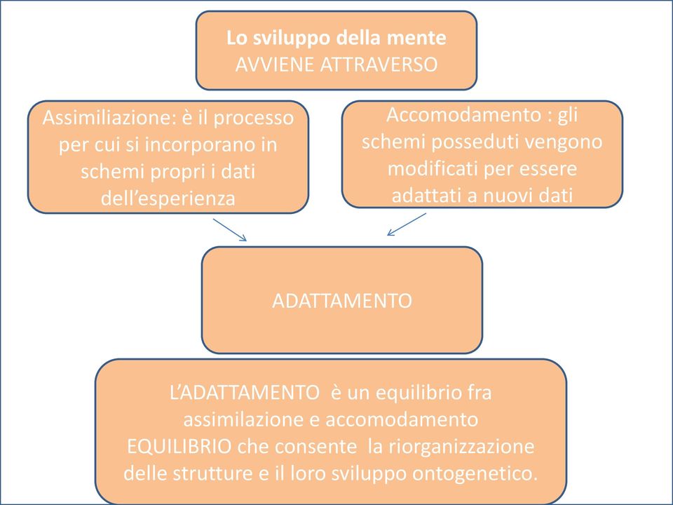 si acquisisce adattati la a nuovi CONOSCENZA dati La CONOSCENZA AVVIENE Lo SVILUPPO COGNITIVO DEL ATTRAVERSO BAMBINO : è stadiale ADATTAMENTO L