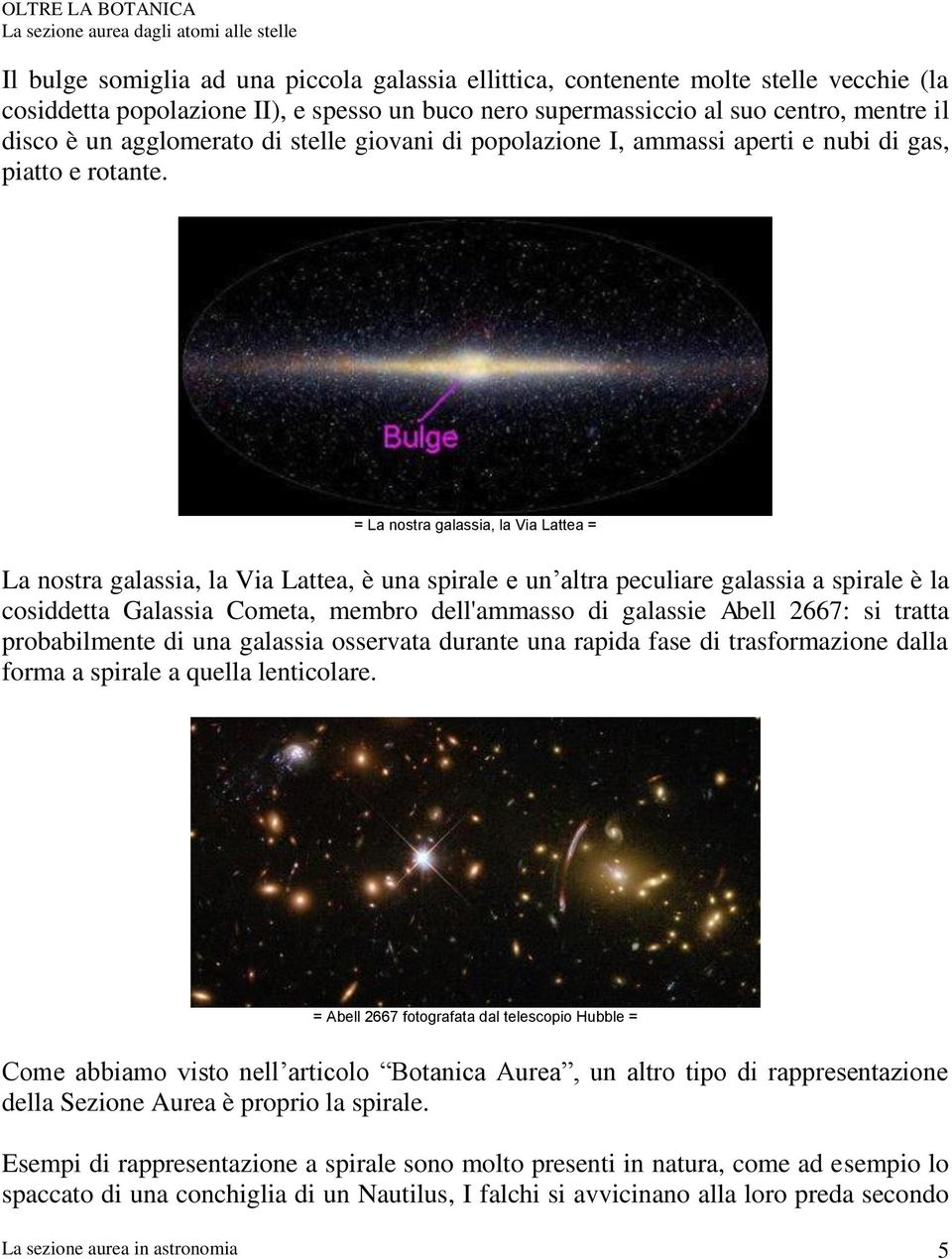 = La nostra galassia, la Via Lattea = La nostra galassia, la Via Lattea, è una spirale e un altra peculiare galassia a spirale è la cosiddetta Galassia Cometa, membro dell'ammasso di galassie Abell