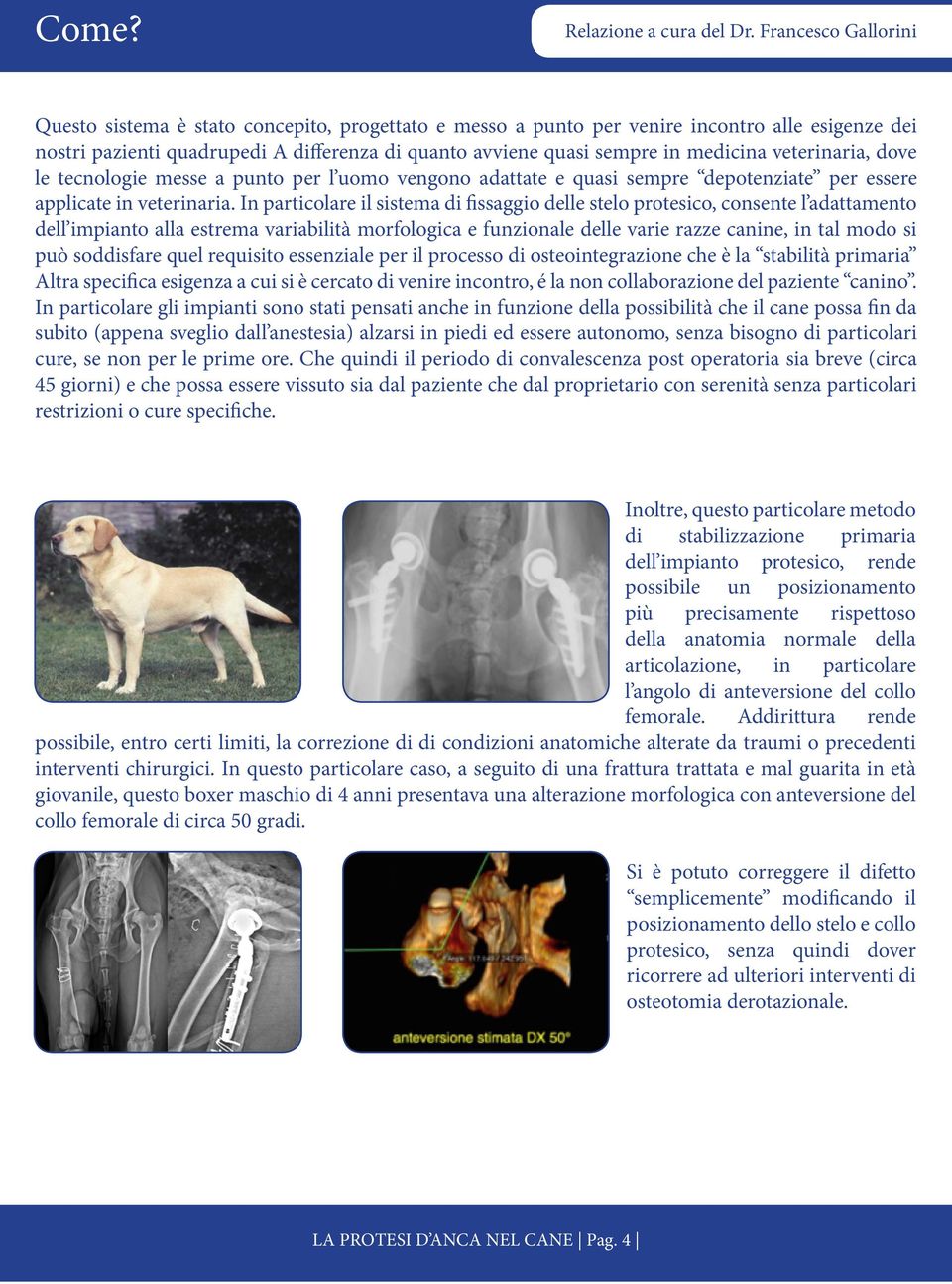In particolare il sistema di fissaggio delle stelo protesico, consente l adattamento dell impianto alla estrema variabilità morfologica e funzionale delle varie razze canine, in tal modo si può