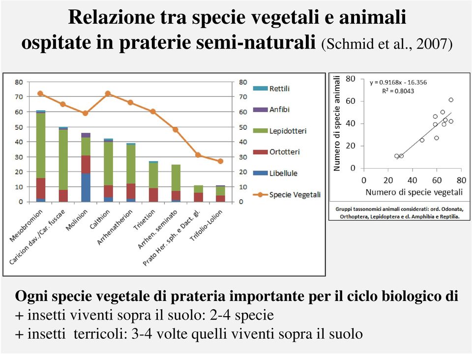 , 2007) Ogni specie vegetale di prateria importante per il ciclo