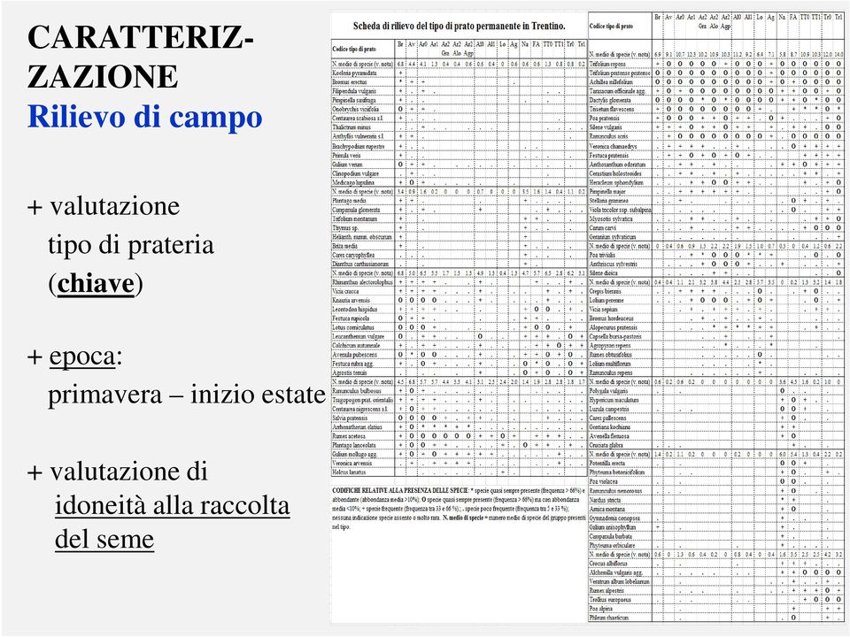 epoca: primavera inizio estate +