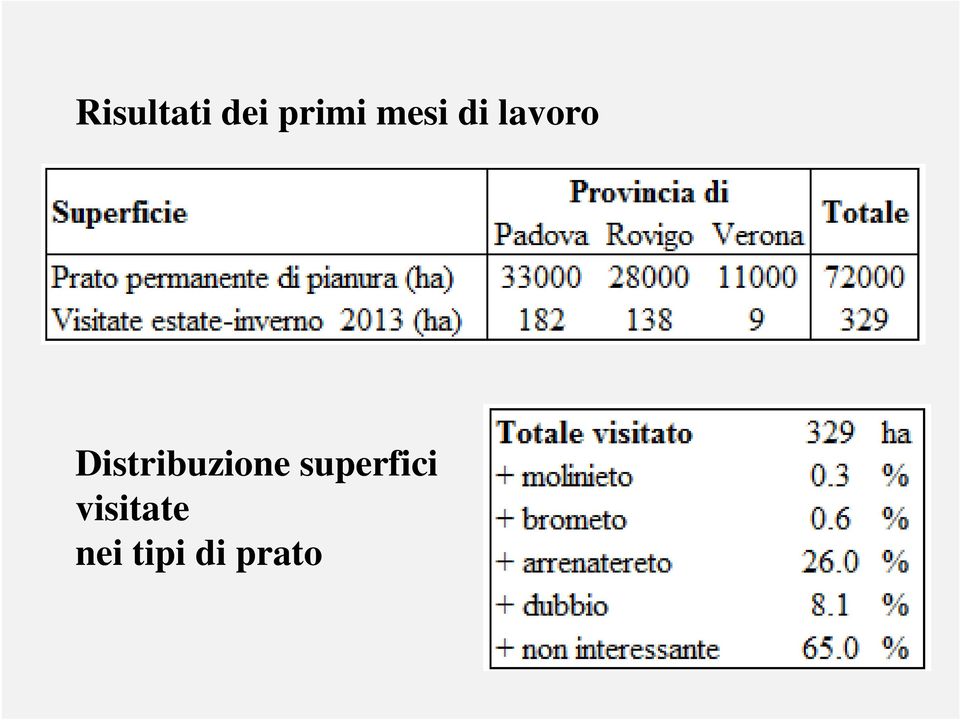 Distribuzione