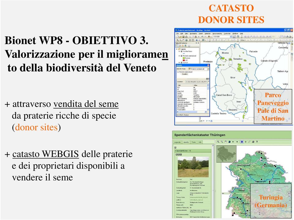 vendita del seme da praterie ricche di specie (donor sites) Parco Paneveggio
