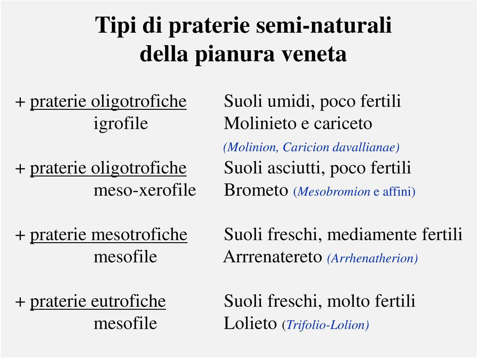 meso-xerofile Brometo (Mesobromion e affini) + praterie mesotrofiche Suoli freschi, mediamente fertili mesofile