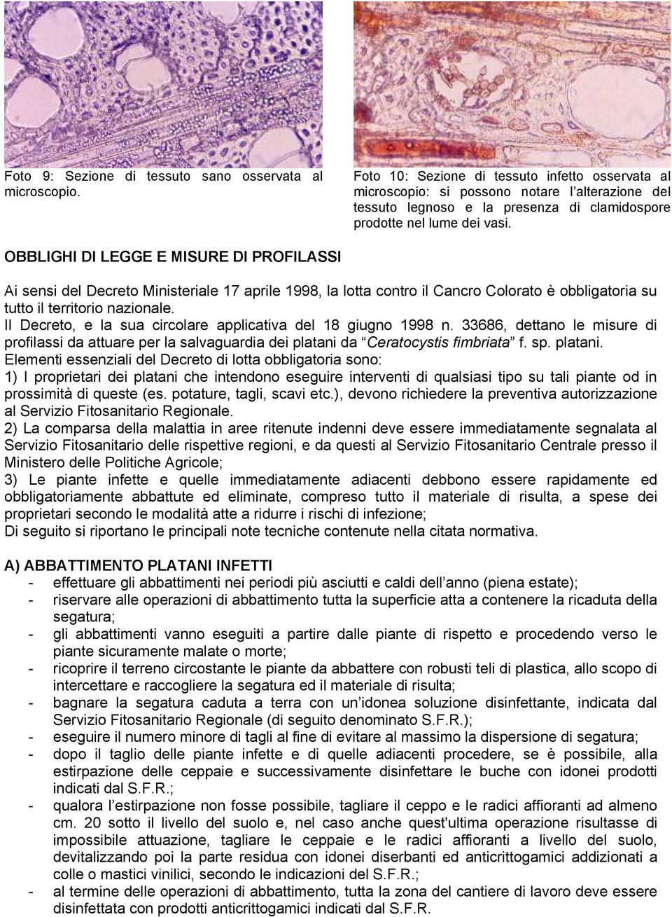 OBBLIGHI DI LEGGE E MISURE DI PROFILASSI Ai sensi del Decreto Ministeriale 17 aprile 1998, la lotta contro il Cancro Colorato è obbligatoria su tutto il territorio nazionale.