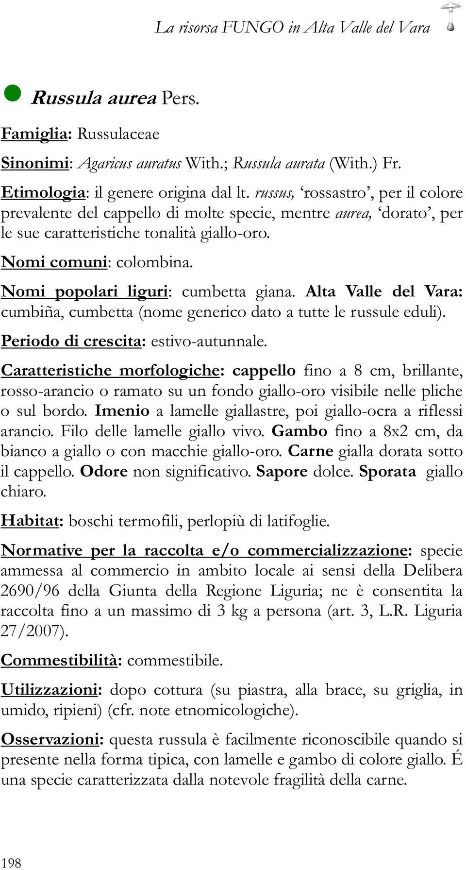 Nomi popolari liguri: cumbetta giana. Alta Valle del Vara: cumbiña, cumbetta (nome generico dato a tutte le russule eduli). Periodo di crescita: estivo-autunnale.