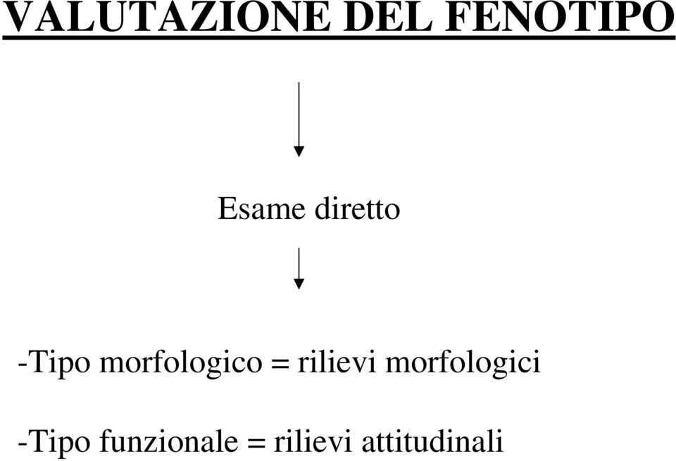 morfologico = rilievi