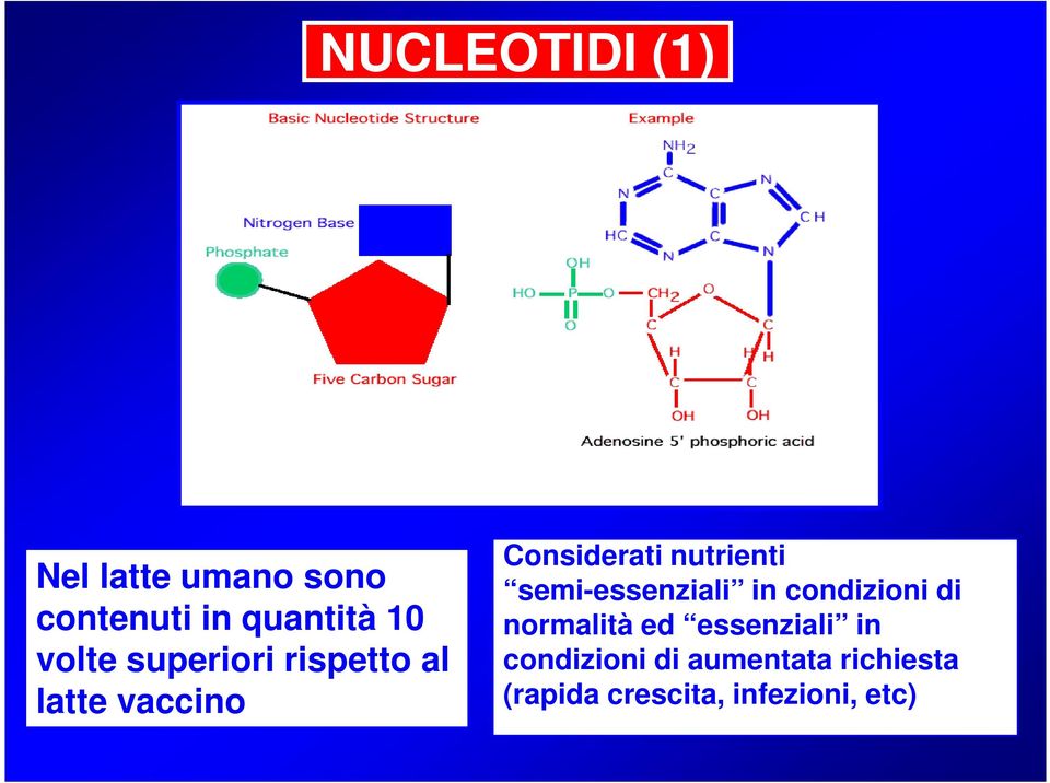 nutrienti semi-essenziali in condizioni di normalità ed