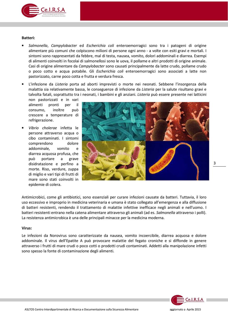 Esempi di alimenti coinvolti in focolai di salmonellosi sono le uova, il pollame e altri prodotti di origine animale.