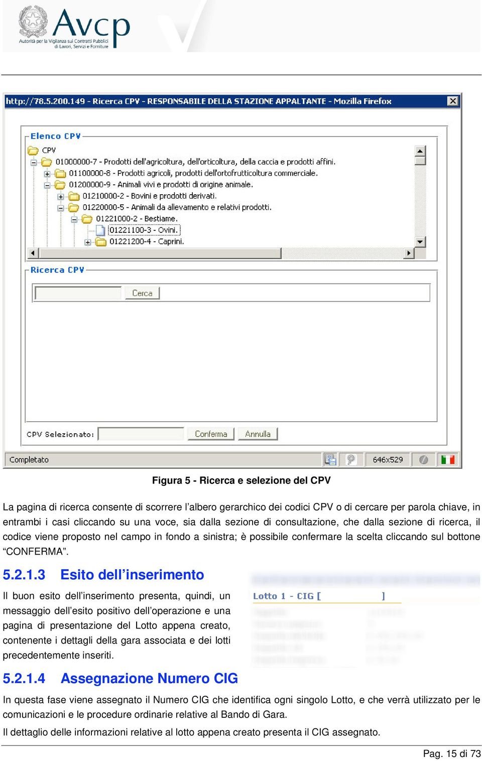 3 Esito dell inserimento Il buon esito dell inserimento presenta, quindi, un messaggio dell esito positivo dell operazione e una pagina di presentazione del Lotto appena creato, contenente i dettagli