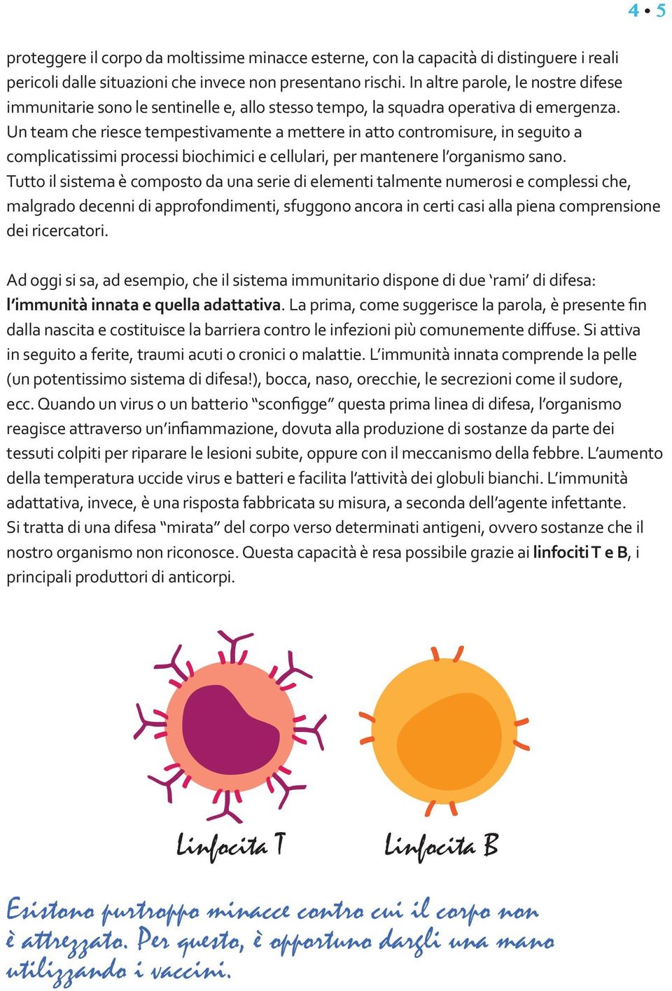 Un team che riesce tempestivamente a mettere in atto contromisure, in seguito a complicatissimi processi biochimici e cellulari, per mantenere l organismo sano.