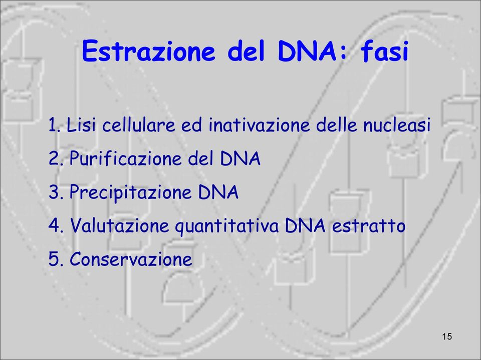2. Purificazione del DNA 3.