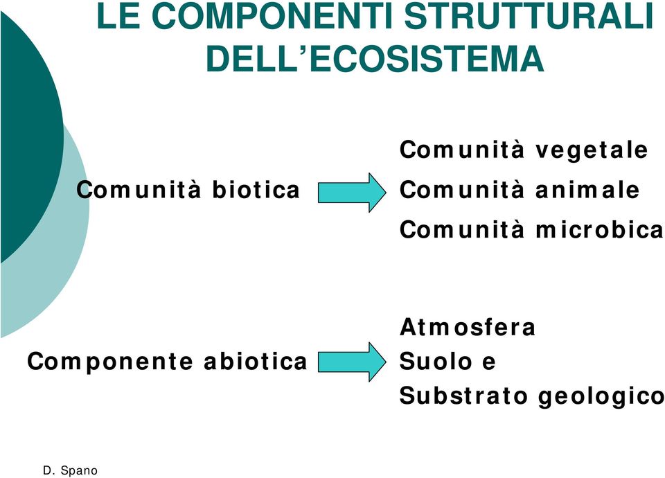 Comunità animale Comunità microbica