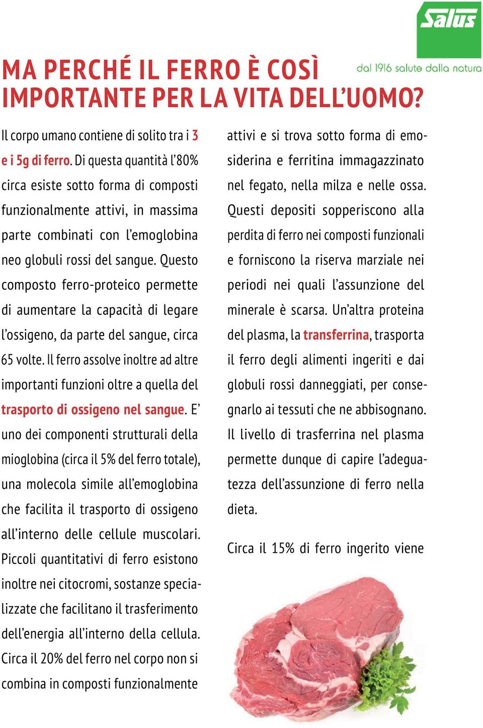 Questo composto ferro-proteico permette di aumentare la capacità di legare l ossigeno, da parte del sangue, circa 65 volte.