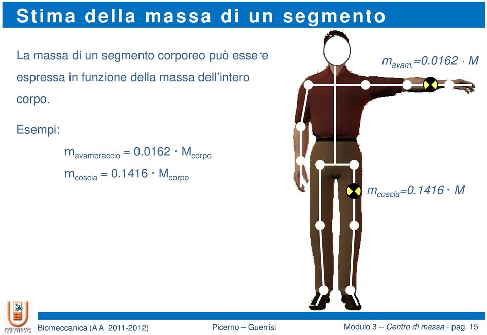 m avam. =0.0162 M Esempi: m avambraccio = 0.