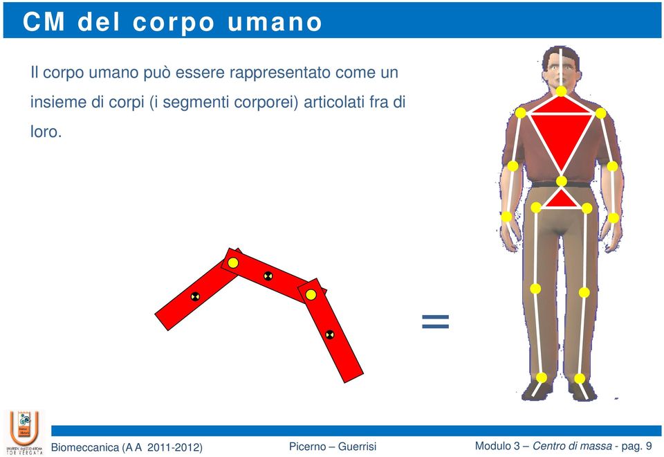 corpi (i segmenti corporei) articolati