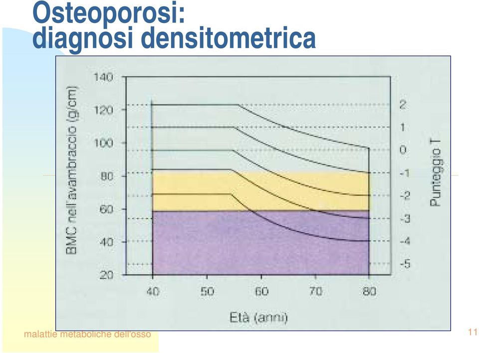 densitometrica