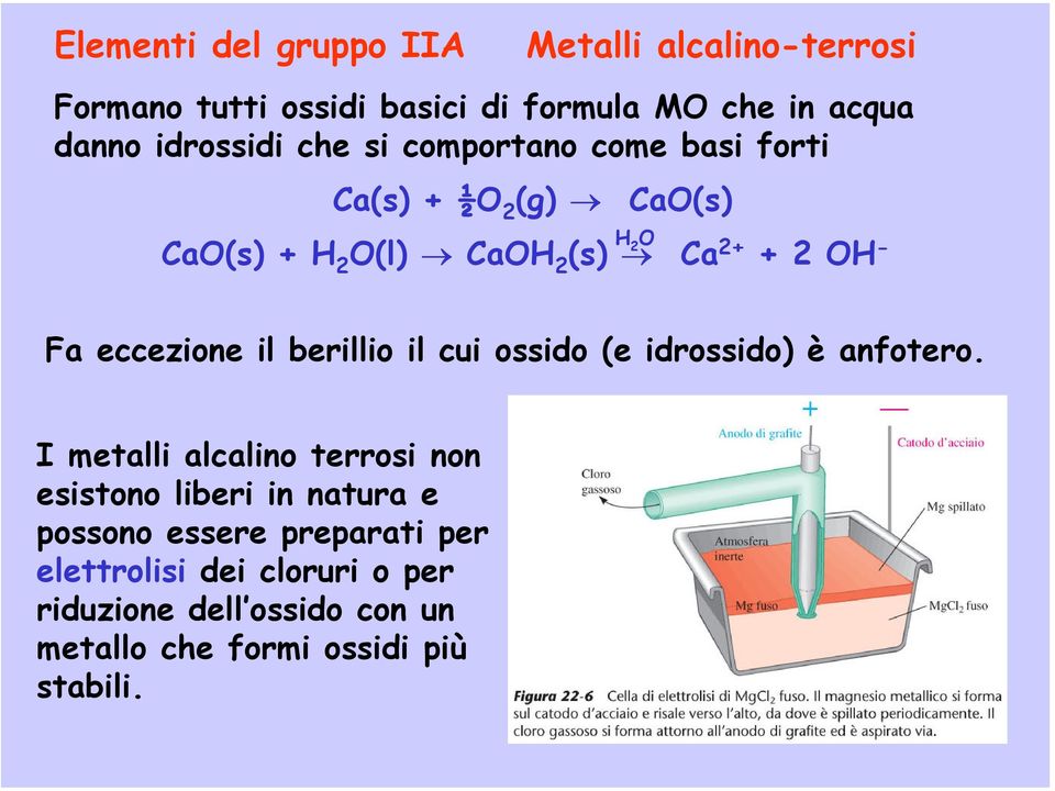 eccezione il berillio il cui ossido (e idrossido) è anfotero.