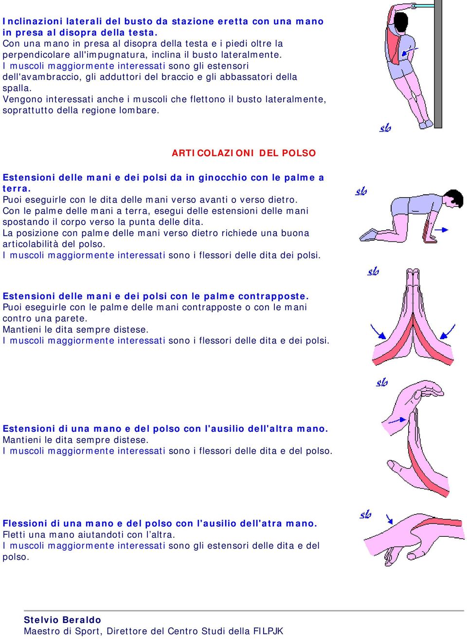 I muscoli maggiormente interessati sono gli estensori dell'avambraccio, gli adduttori del braccio e gli abbassatori della spalla.