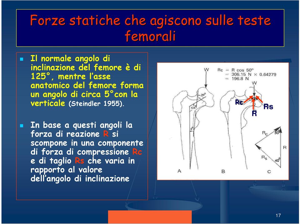 In base a questi angoli la forza di reazione R si scompone in una componente di forza di compressione Rc e