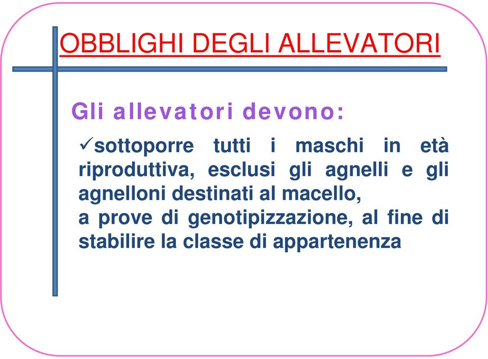 gli agnelli e gli agnelloni destinati al macello, a prove