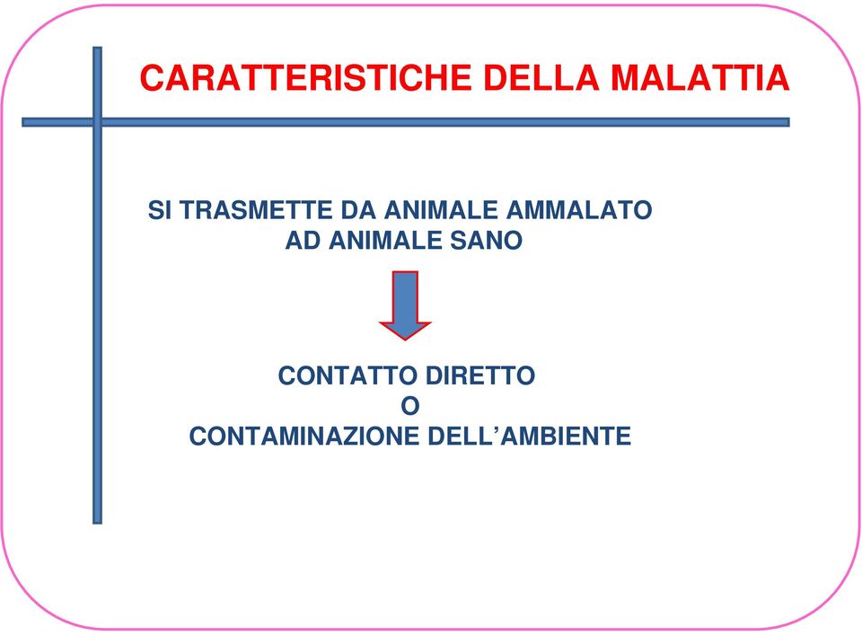 AMMALATO AD ANIMALE SANO