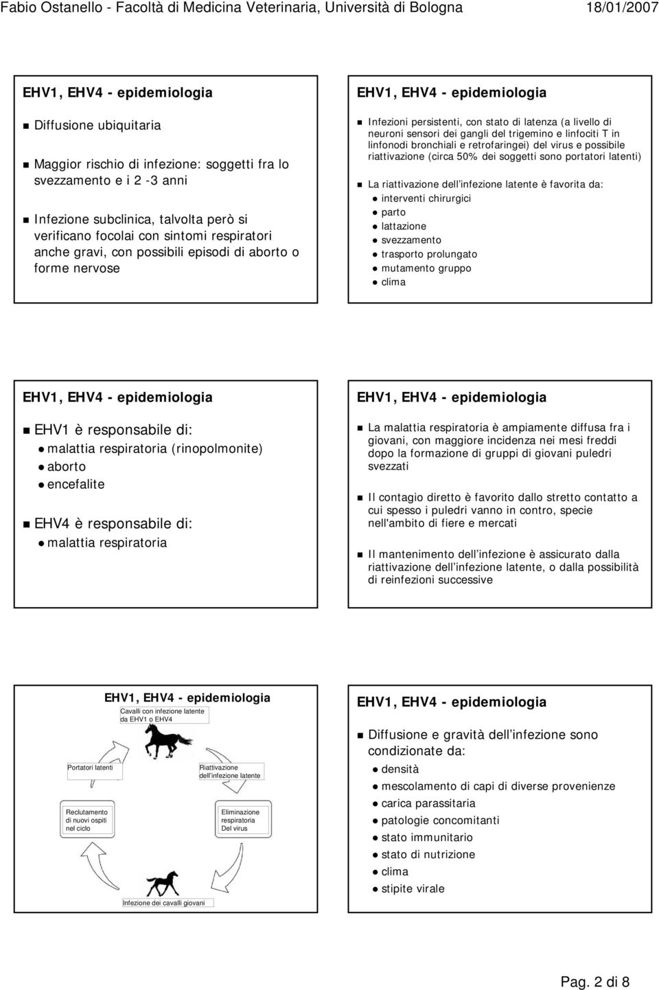 del virus e possibile riattivazione (circa 50% dei soggetti sono portatori latenti) La riattivazione dell infezione latente è favorita da: interventi chirurgici parto lattazione svezzamento trasporto