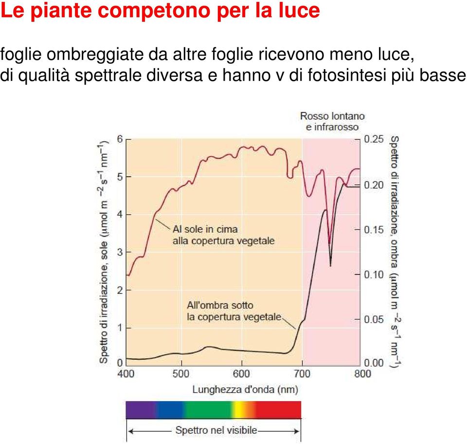 ricevono meno luce, di qualità