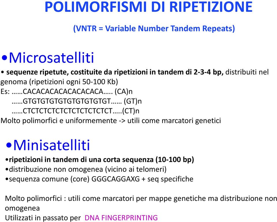 .(CT)n Molto polimorfici e uniformemente -> utili come marcatori genetici Minisatelliti ripetizioni in tandem di una corta sequenza (10-100 bp) distribuzione non