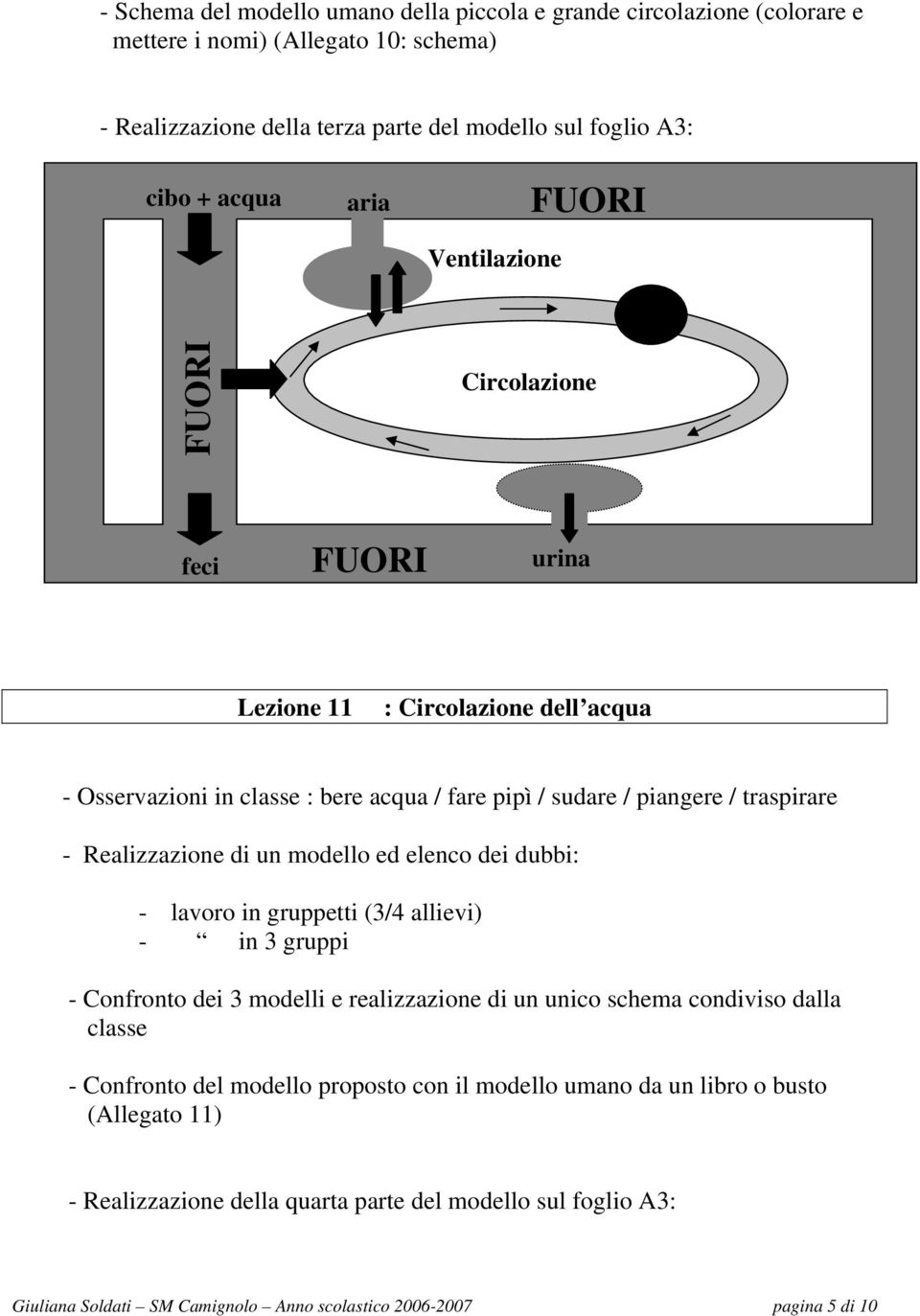 modello ed elenco dei dubbi: - lavoro in gruppetti (3/4 allievi) - in 3 gruppi - Confronto dei 3 modelli e realizzazione di un unico schema condiviso dalla classe - Confronto del modello