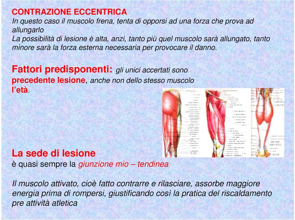 Fattori predisponenti: gli unici accertati sono precedente lesione, anche non dello stesso muscolo l età.