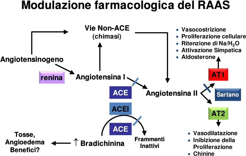Attivazione Simpatica Aldosterone AT1 ACE ACEI Angiotensina II Sartano AT2 Tosse,