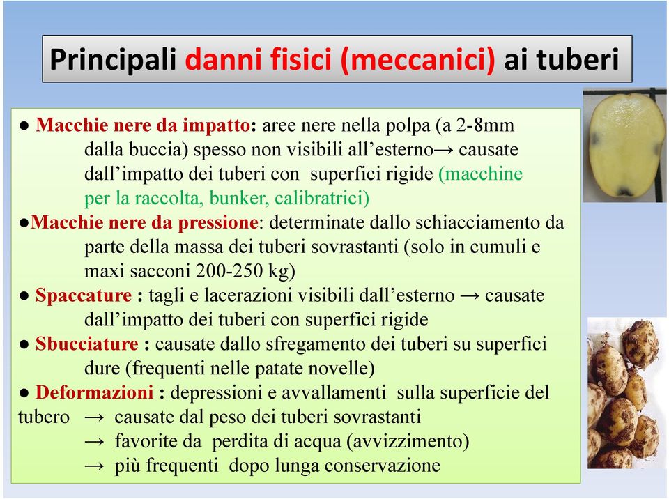 kg) Spaccature : tagli e lacerazioni visibili dall esterno causate dall impatto dei tuberi con superfici rigide Sbucciature : causate dallo sfregamento dei tuberi su superfici dure (frequenti nelle