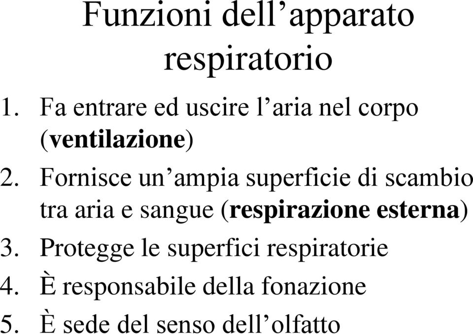 Fornisce un ampia superficie di scambio tra aria e sangue