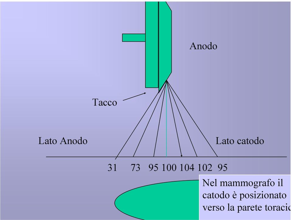 Nel mammografo il catodo è